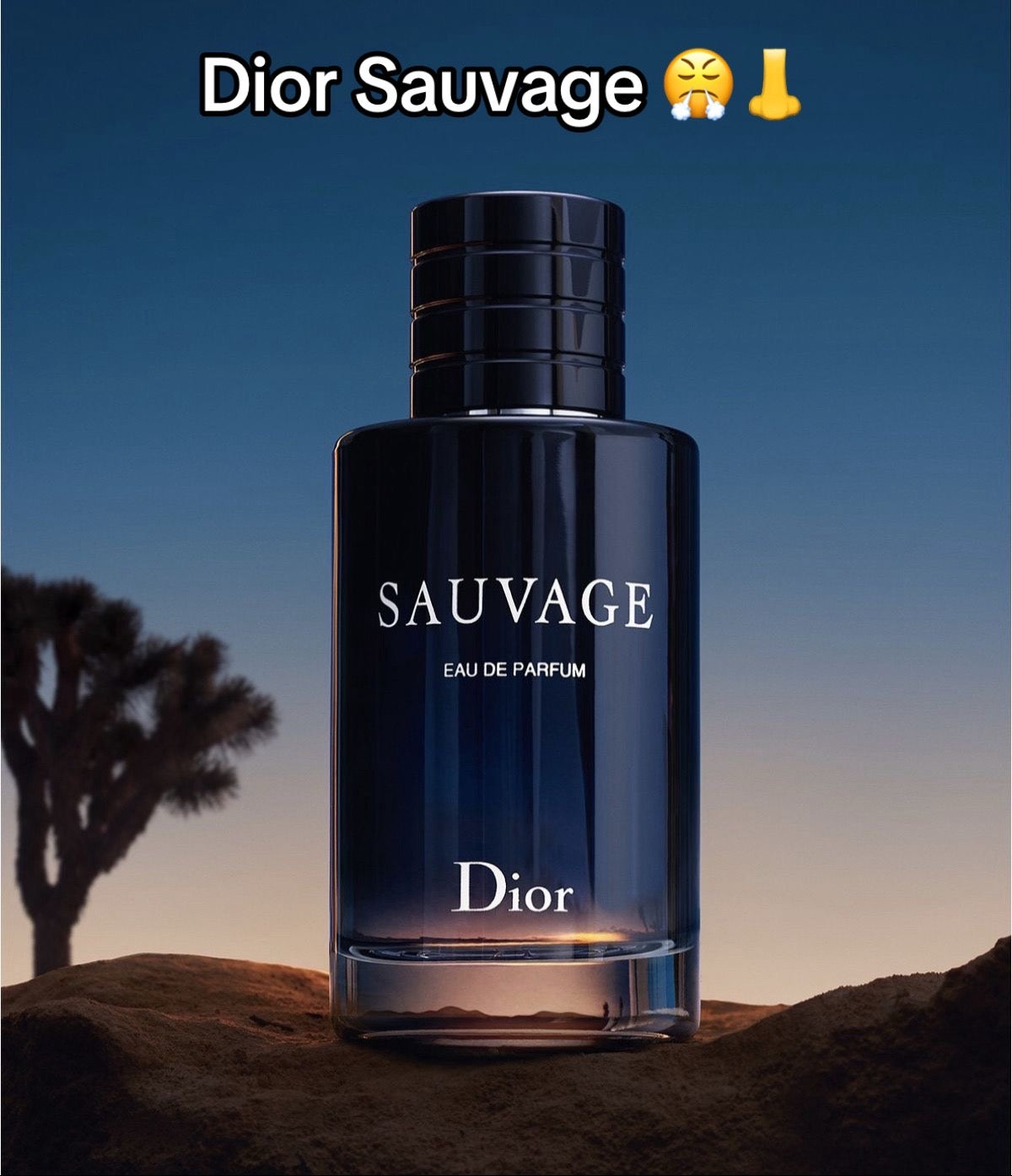 Dior Sauvage  – 100ml