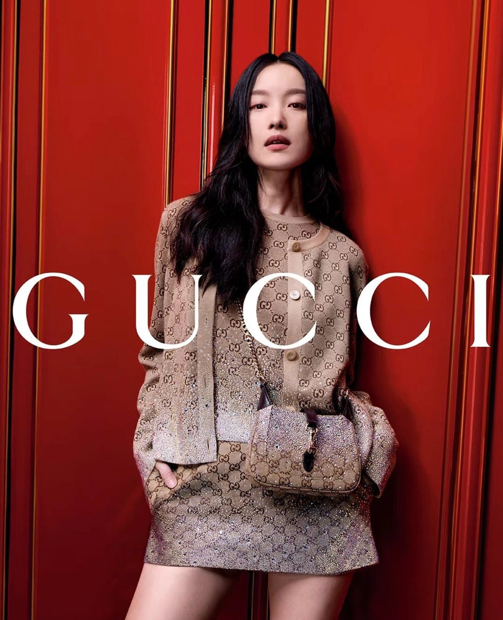 Gucci fancy bag